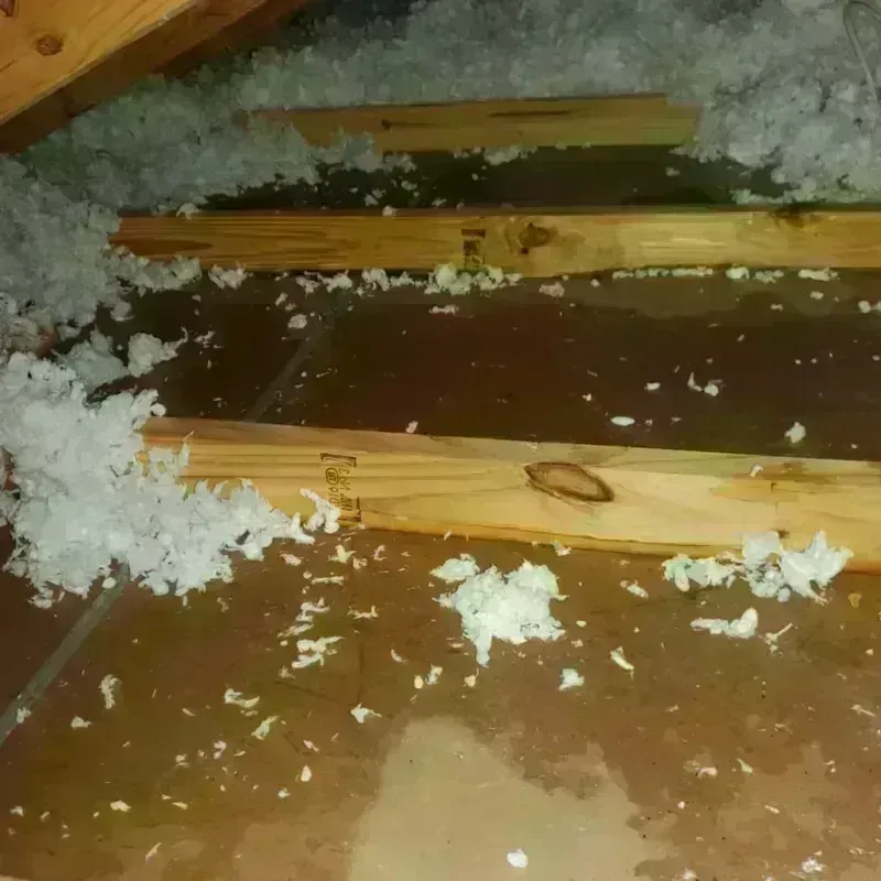 Attic Water Damage in Worland, WY