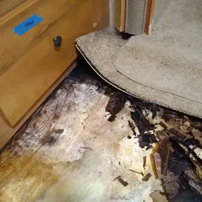 Wood Floor Water Damage in Worland, WY